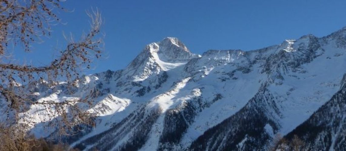 Chalet Steinbock